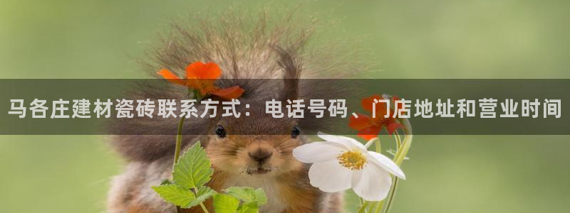 杏鑫招商总代