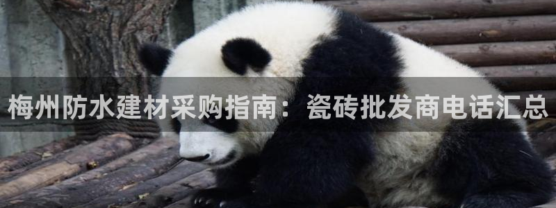 杏鑫平台正规吗可信吗