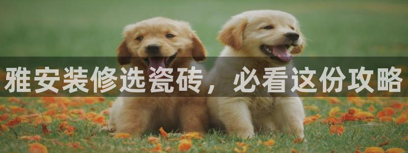 杏鑫平台念7O777