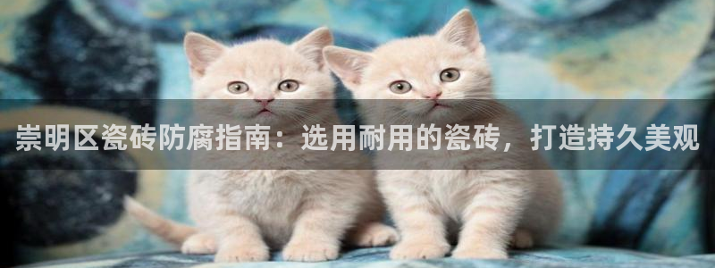 杏鑫平台招商电话