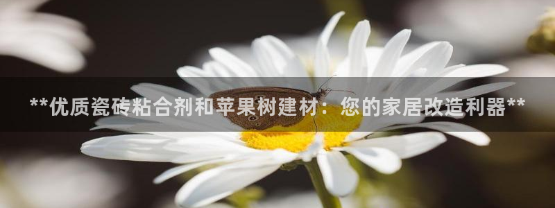 杏鑫平台测速怎么样