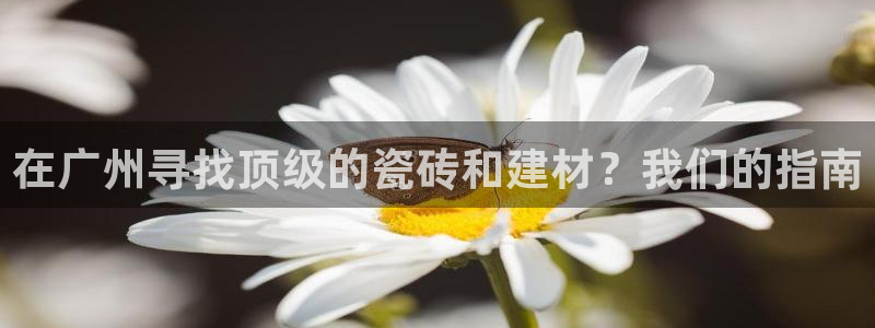 杏鑫平台怎么样黑钱吗安全吗可靠吗