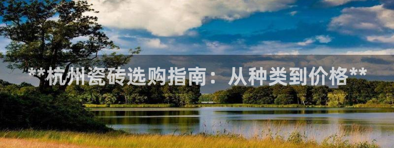 杏鑫有亏损返点吗