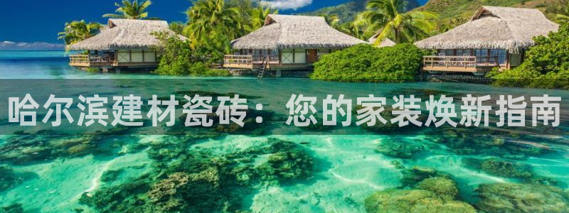 杏鑫娱乐平台测速怎么样