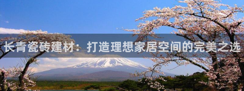 杏鑫平台野马联盟怎么样