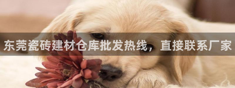 杏鑫娱乐怎么样