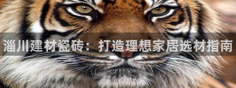 杏鑫官方平台怎么样