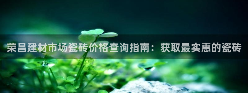 杏鑫官方平台怎么样啊