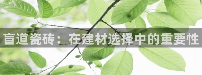 杏鑫平台注册地址在哪里