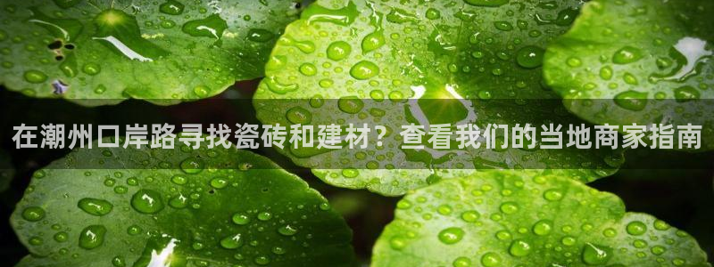 杏鑫官方平台怎么样可靠吗