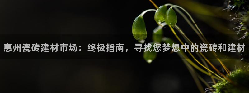 杏鑫娱乐官网登录不了