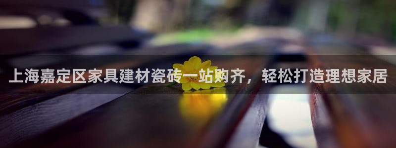 杏鑫平台代理怎么做