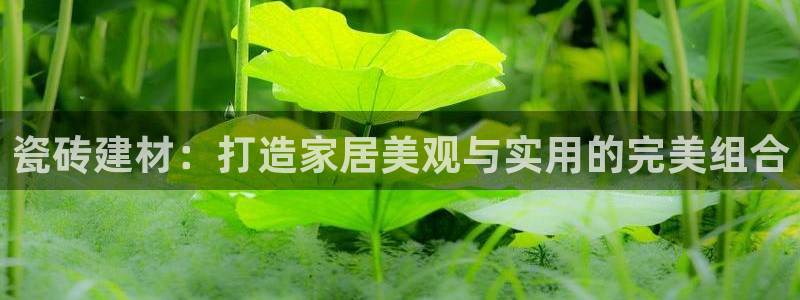 杏鑫注册平台官方网站是什么