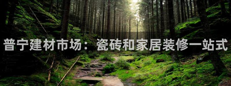 杏鑫平台直属哪个公司