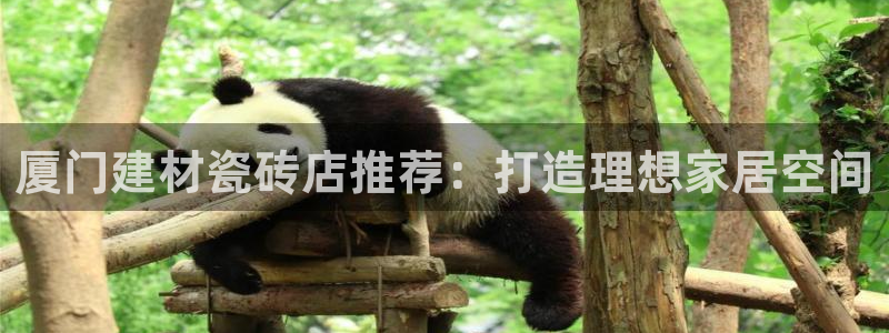 杏鑫平台念7O777