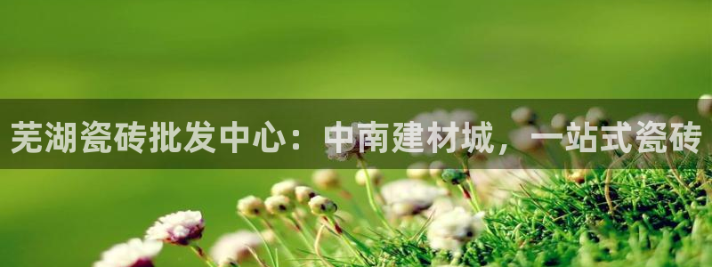 杏鑫官方平台怎么样啊知乎
