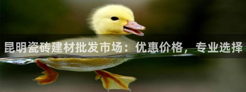 杏鑫平台代理怎么样啊