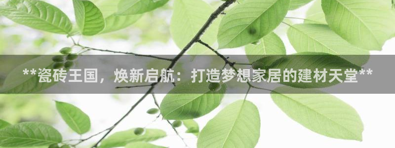 杏鑫平台招商