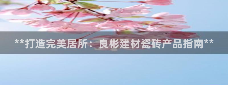 杏鑫官方app代理