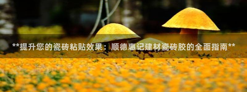 杏鑫注册平台官方网站