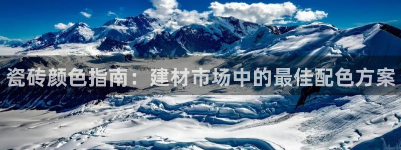 杏鑫平台代理注册流程及费用