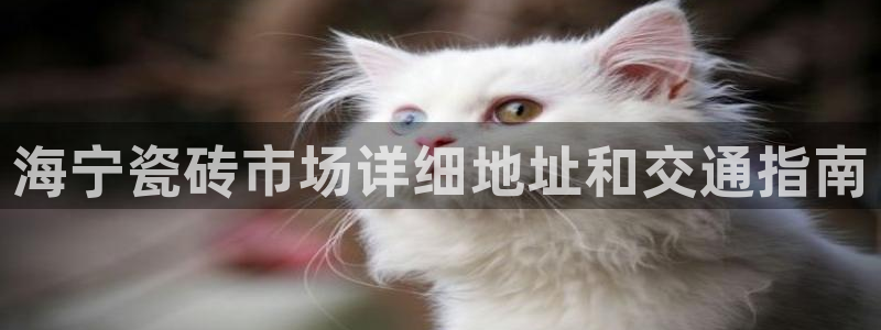 杏鑫平台注册地址在哪里