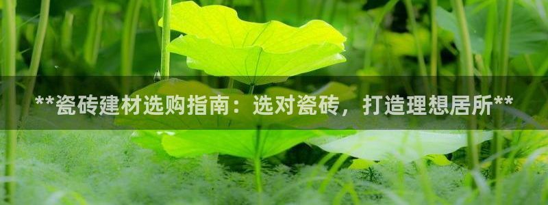 杏鑫平台注册入口在哪里找