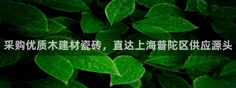 杏鑫平台代理注册多少钱一个