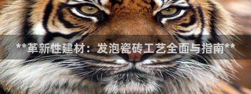 杏鑫官网注册账号密码忘了