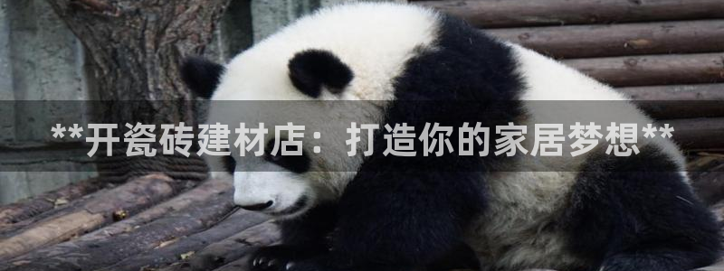 杏鑫平台注册网址查询
