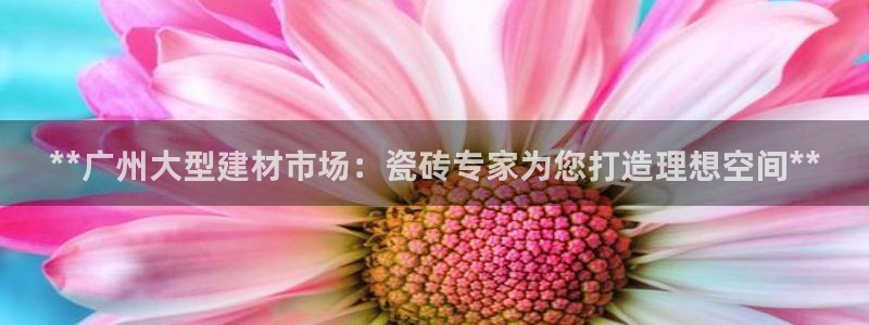 杏鑫平台招商电话号码是多少