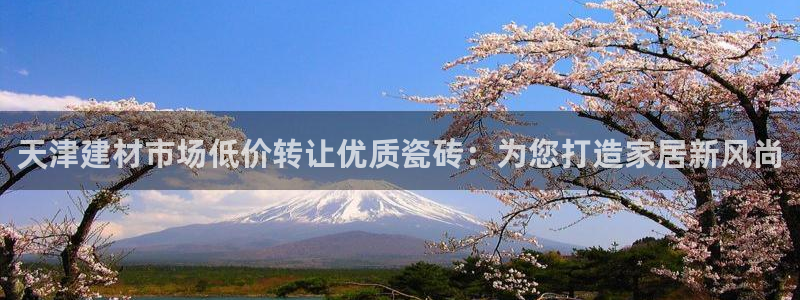 杏鑫平台代理注册流程及费用