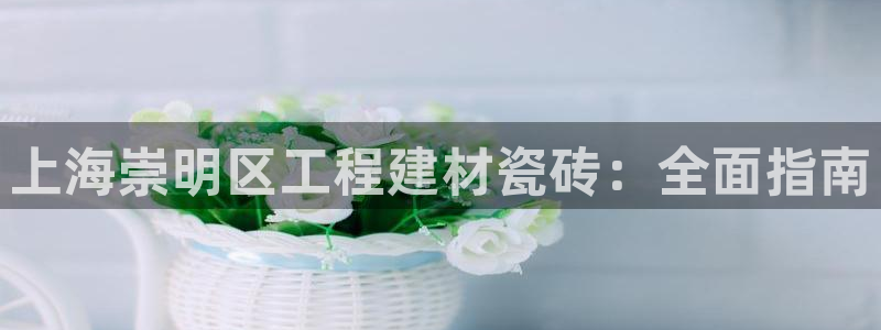 杏鑫平台登录地址
