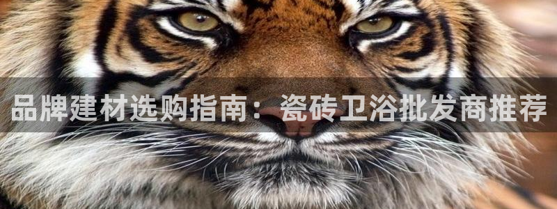 杏鑫平台测速怎么样