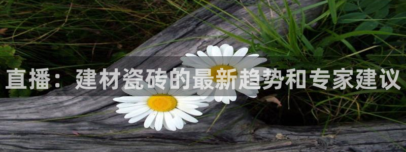 杏鑫平台注册入口在哪里找