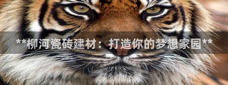 杏鑫平台怎么样黑钱吗知乎推荐