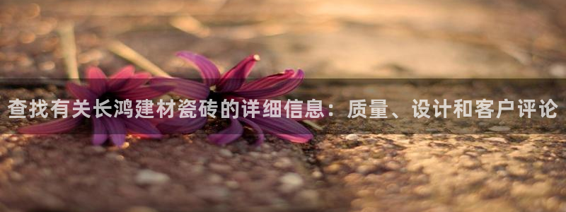 杏鑫平台直属
