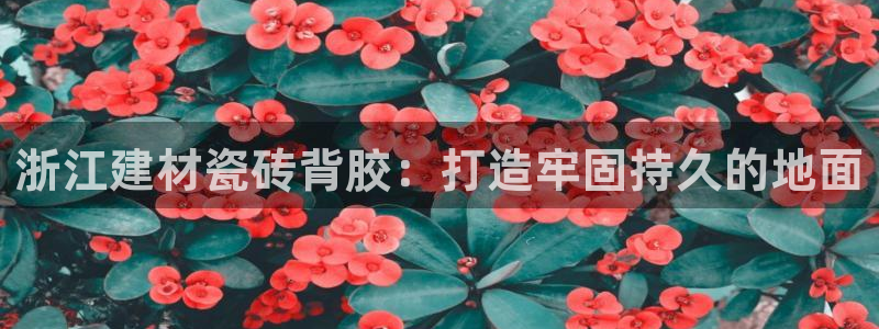 杏鑫娱乐官方网站客户端下载安装