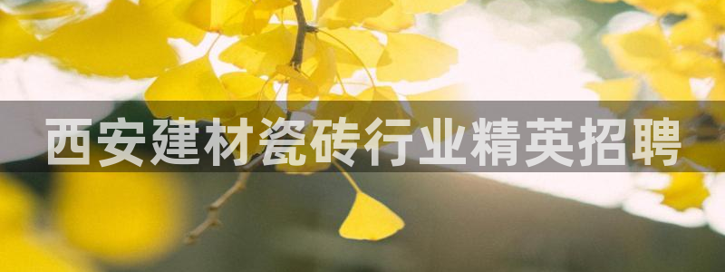 杏鑫娱乐平台测速怎么样