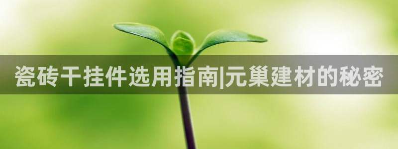 杏鑫平台下载安装