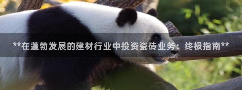 杏鑫平台招商电话号码是多少