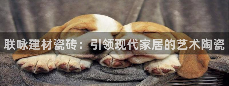 杏鑫娱乐官方网站客户端下载安装