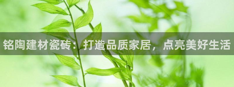 杏鑫平台正规吗