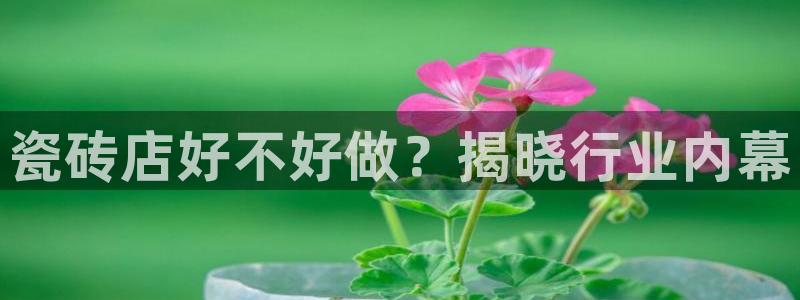 杏鑫平台招商电话号码