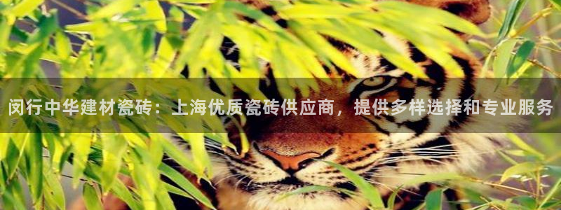 杏鑫平台平台娱乐怎么样