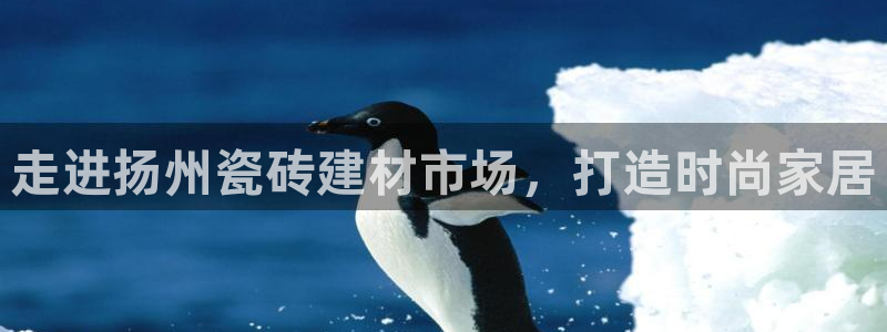 杏鑫官方平台怎么样啊知乎