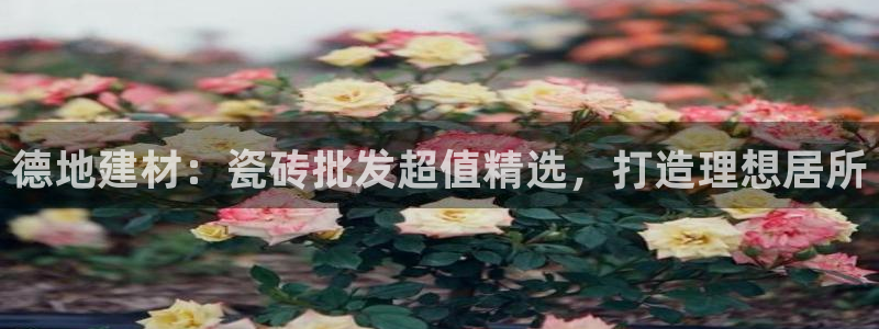 杏鑫平台代理怎么样可靠吗