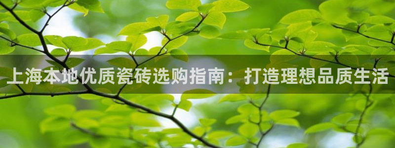 杏鑫平台待遇