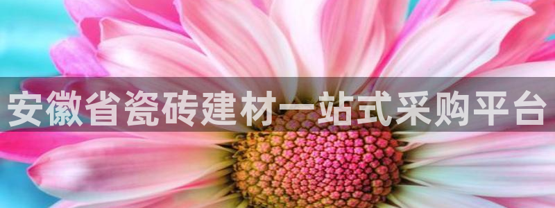 杏鑫平台招商怎么样啊