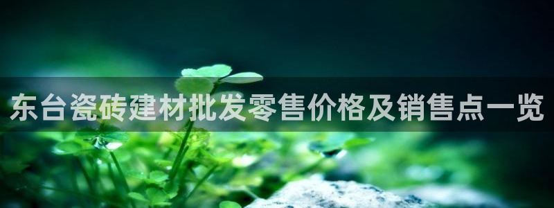 杏鑫官方平台怎么样啊